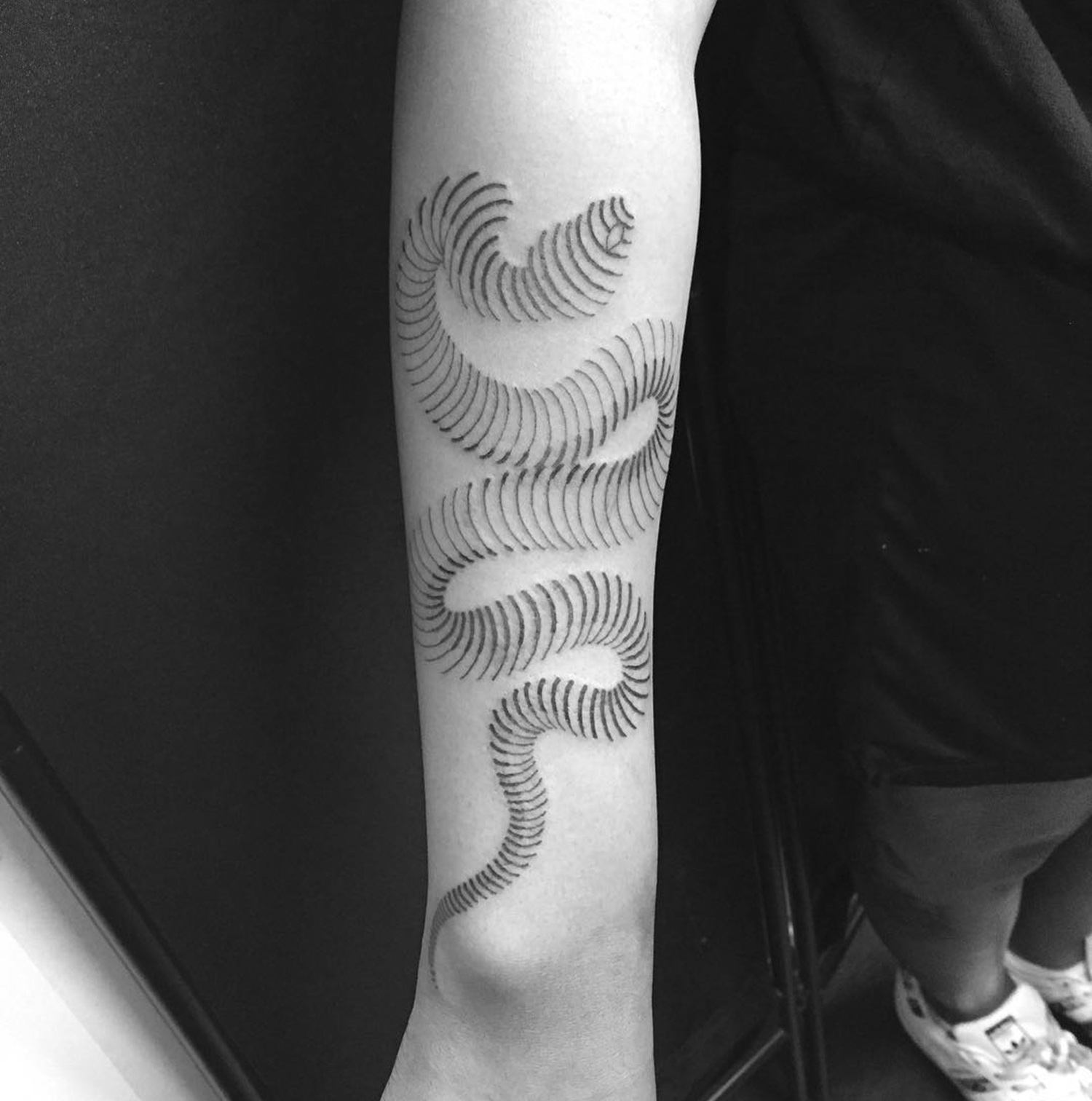 snake blackwork tattoo