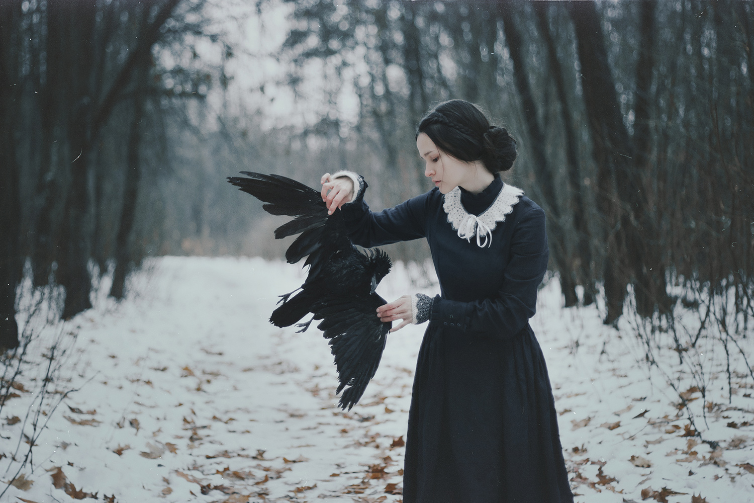 Natalia Drepina - Winter Silenced the Birds