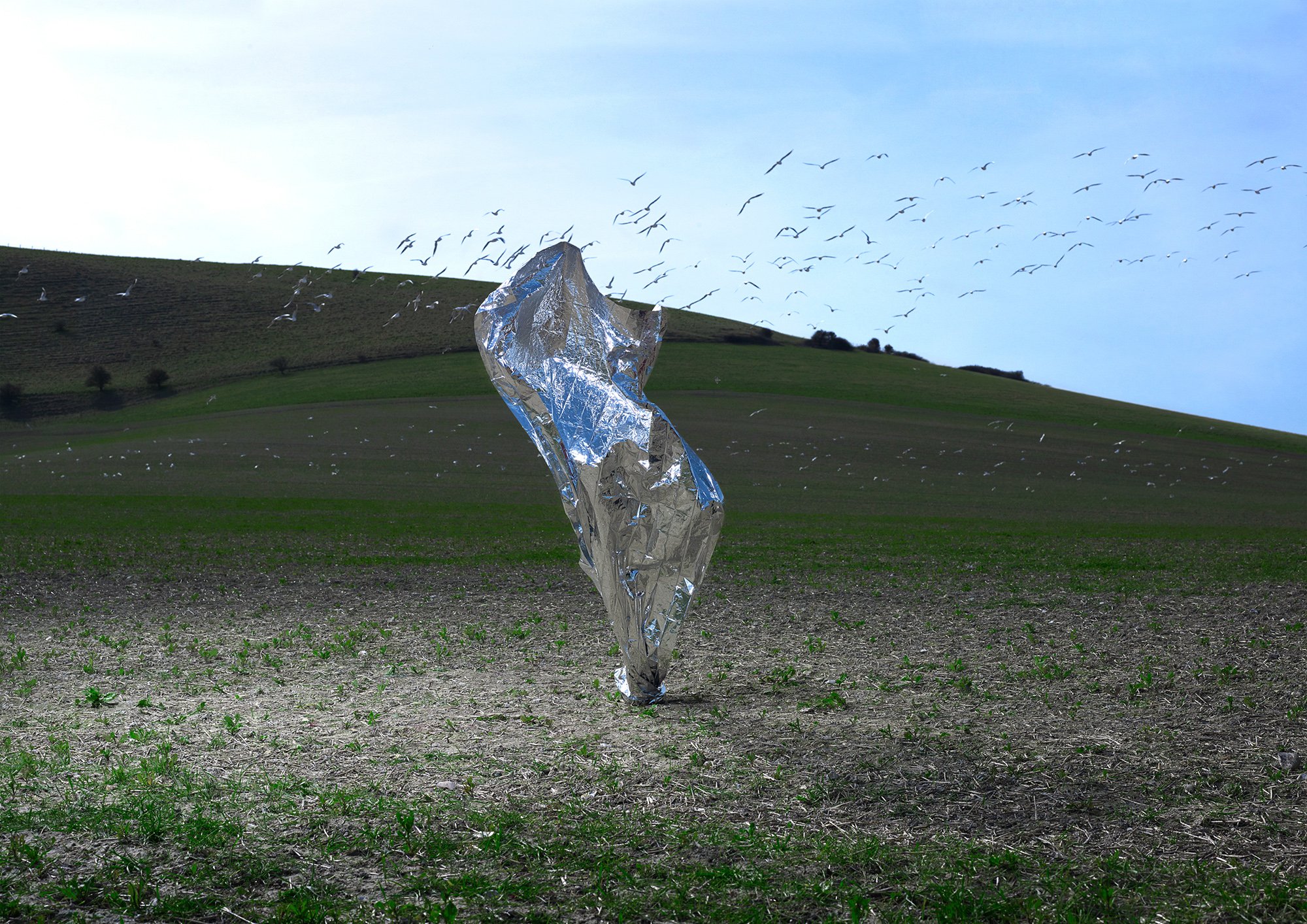 Transient Sculptures, metallic, birds