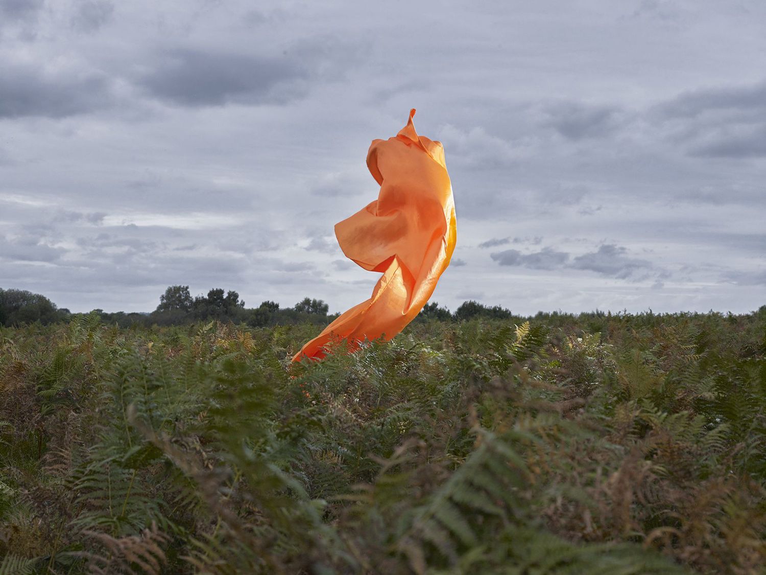 Transient Sculptures, orange sheet