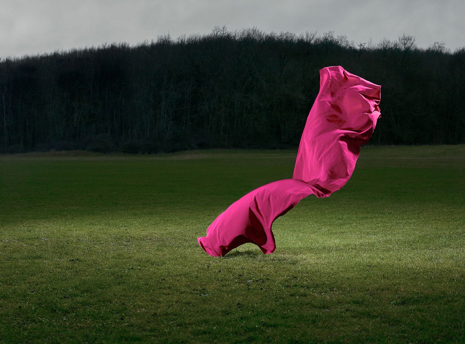 Transient Sculptures, pink sheet in green field