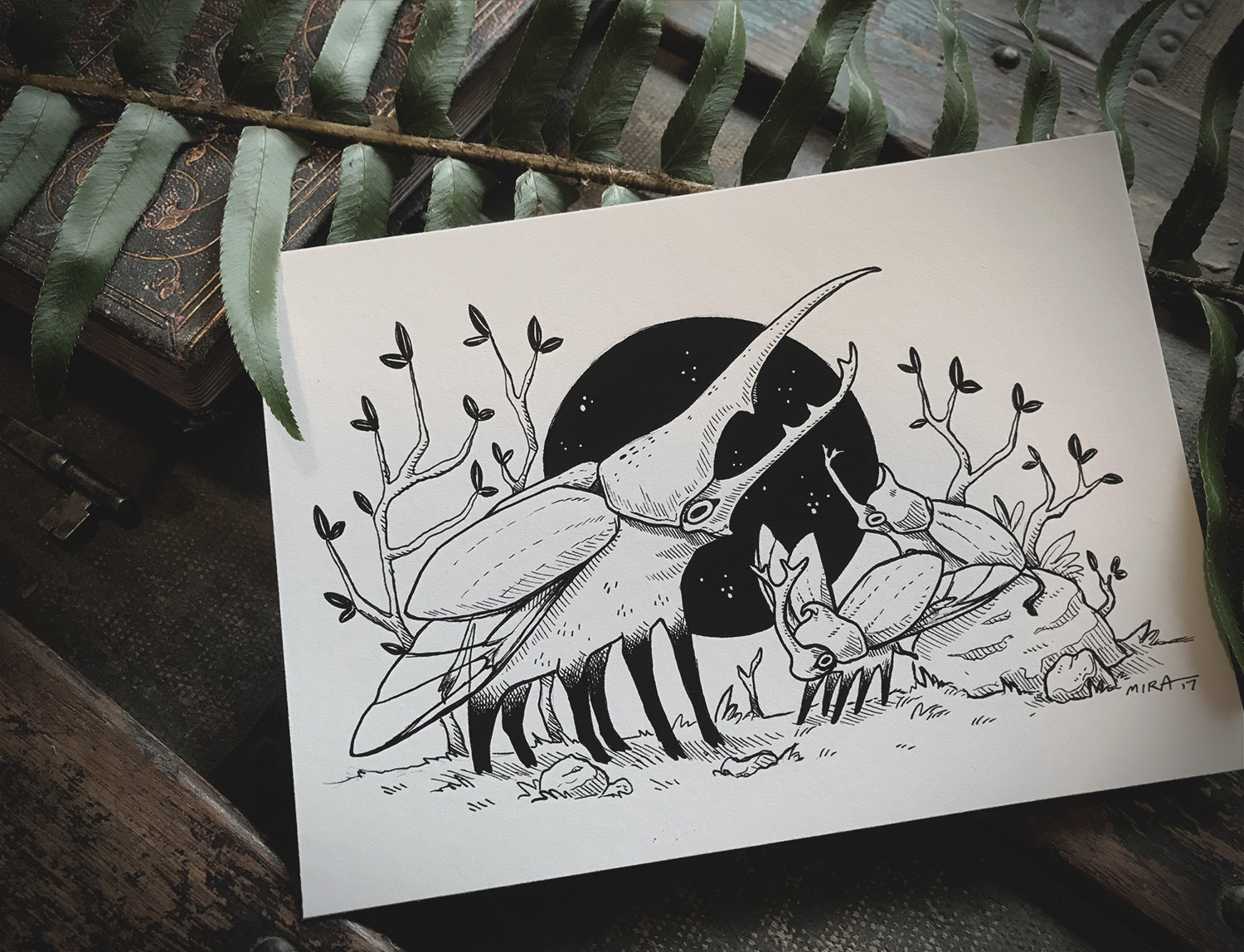 Miranda Zimmerman (Faunwood) - Swordface