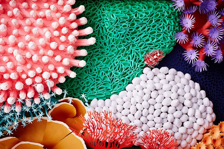 Colorful Complexity of Coral Reefs Recreated in Paper by Mlle Hipolyte ...