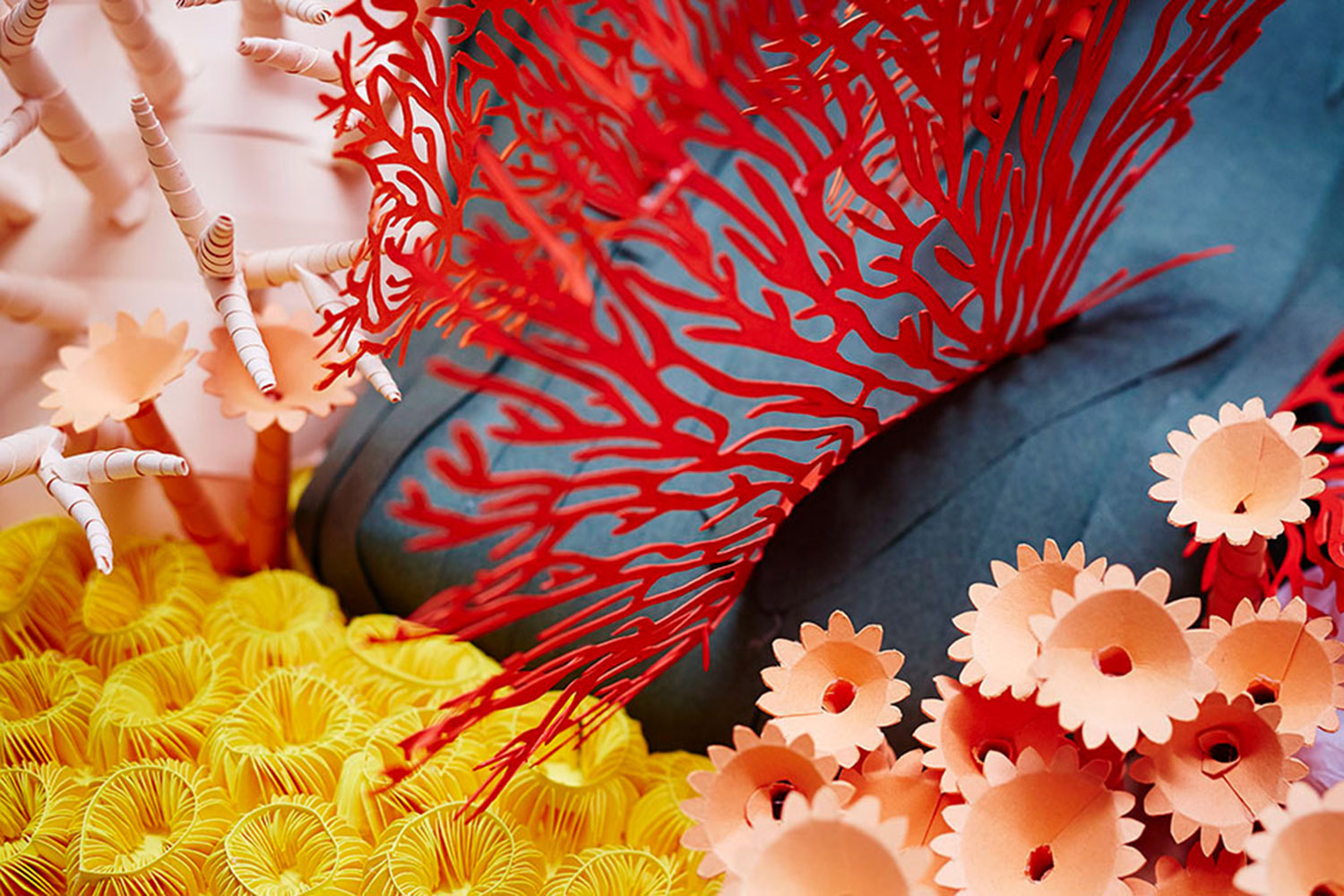 Paper coral detail by mlle Hipolyte