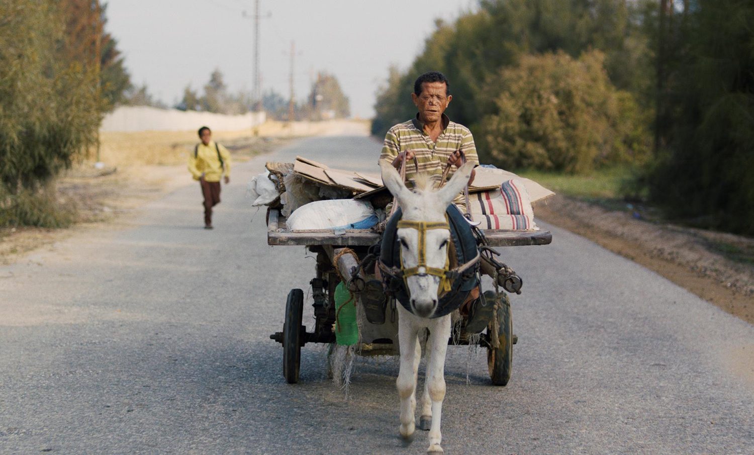 man riding a mule, Yomeddine