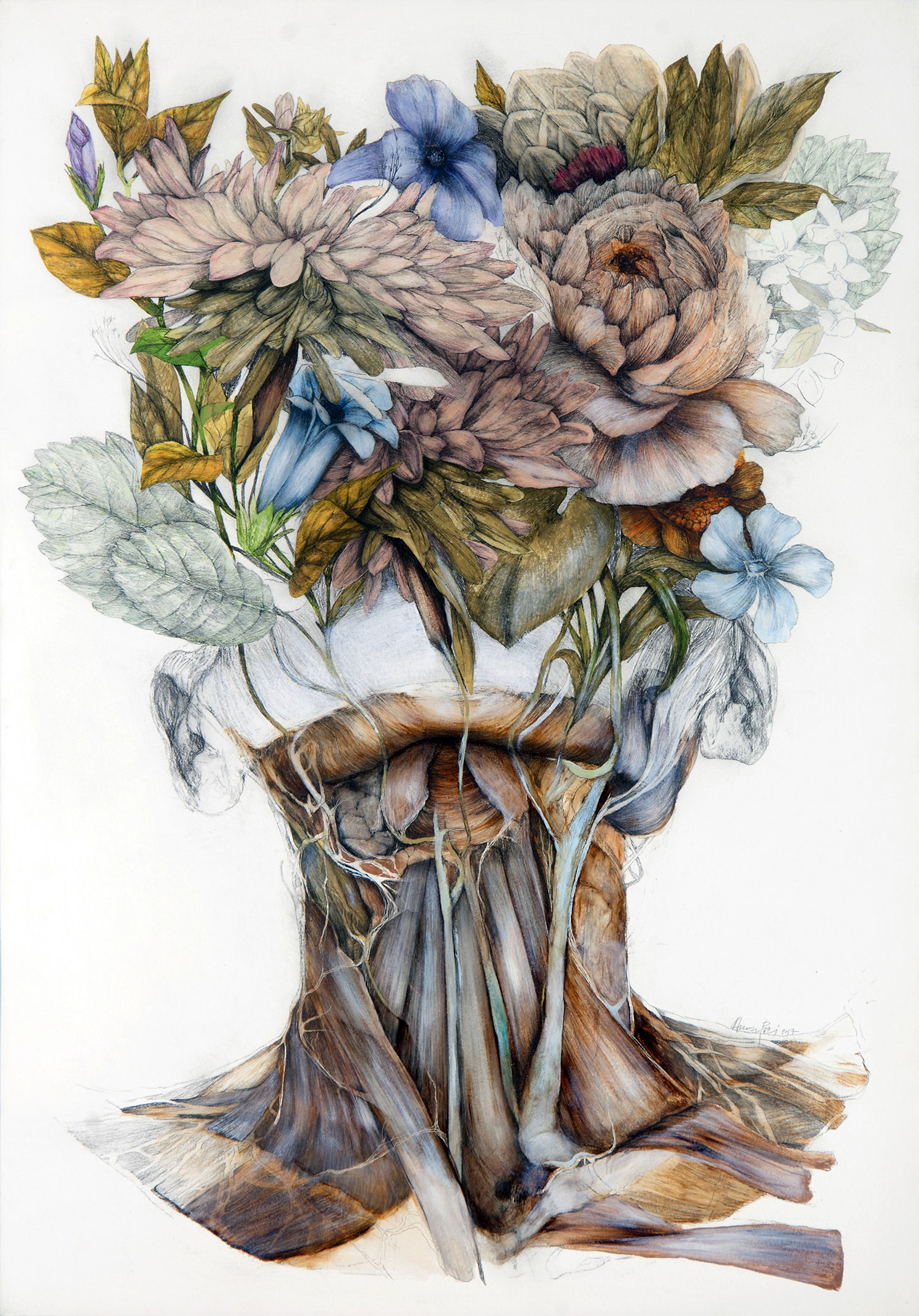 Nunzio Paci - Anatomy of a Timeless
