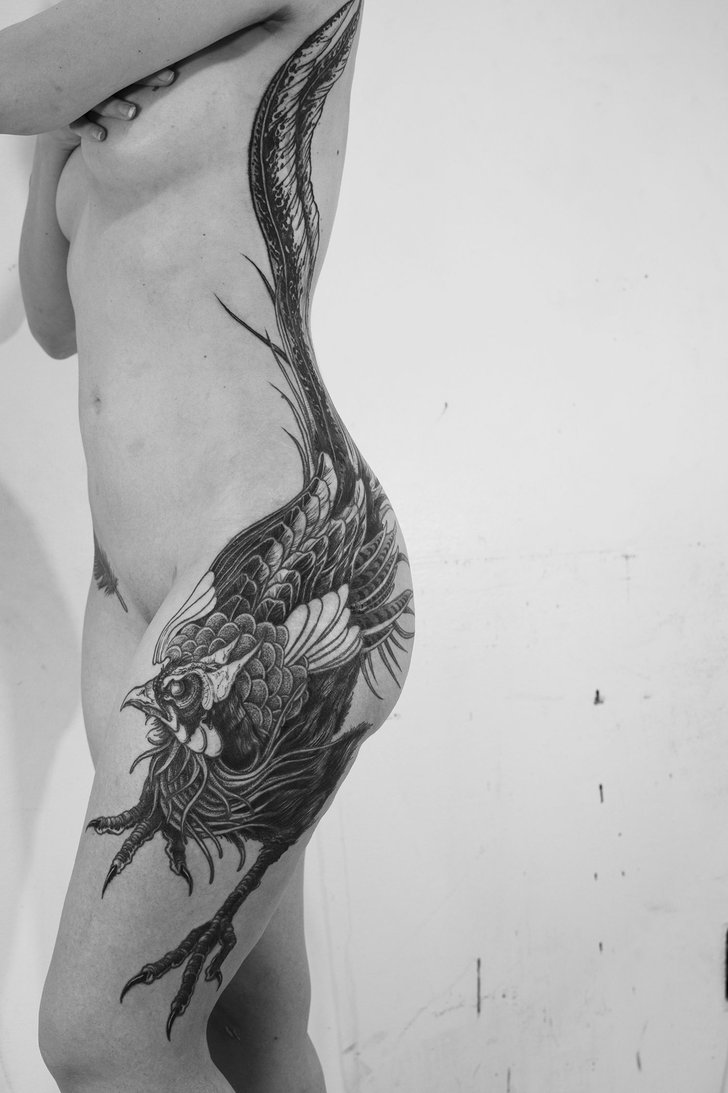 faisao, pheasant bird blackwork tattoo on body