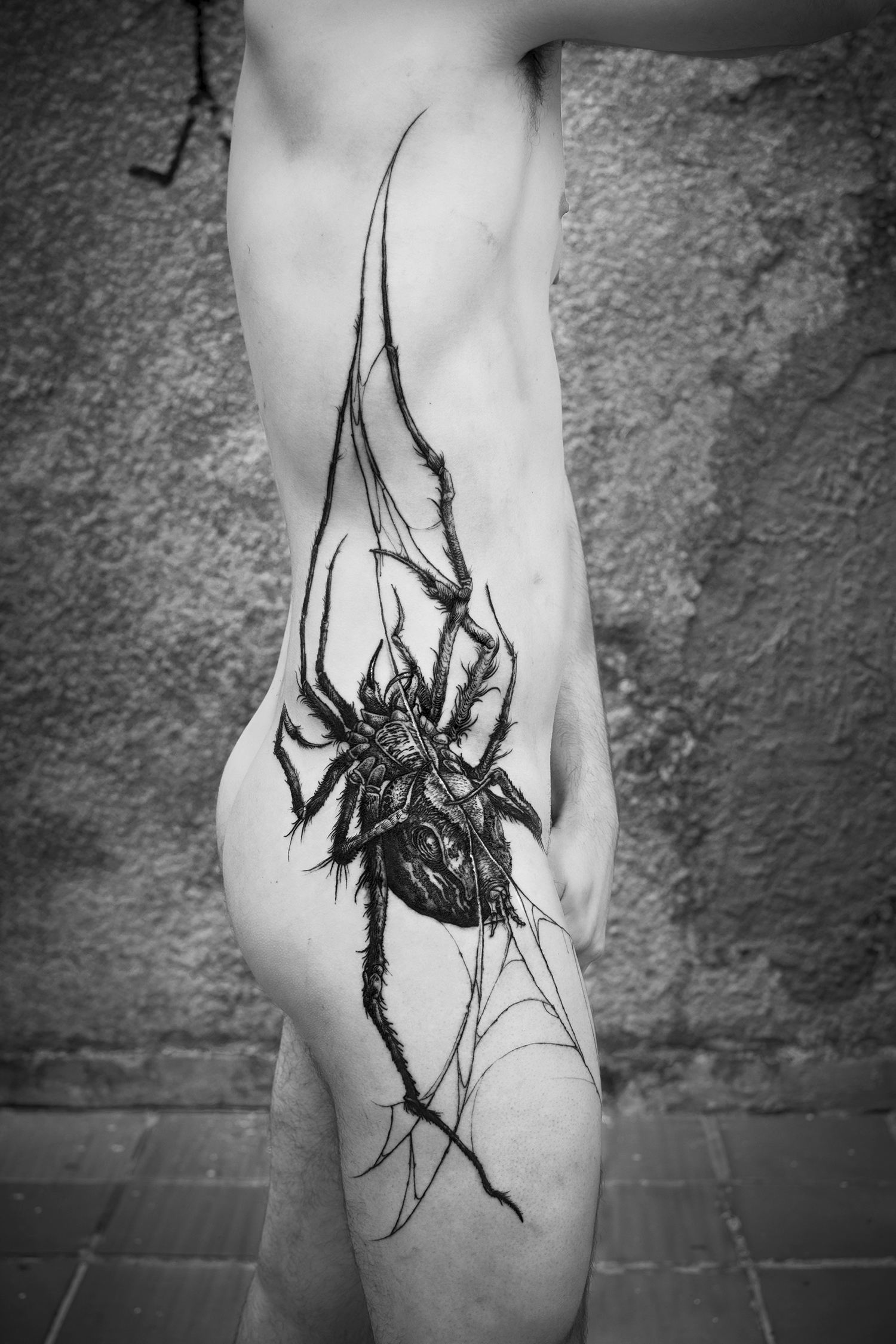 spider tattoo, spectacular, blackwork