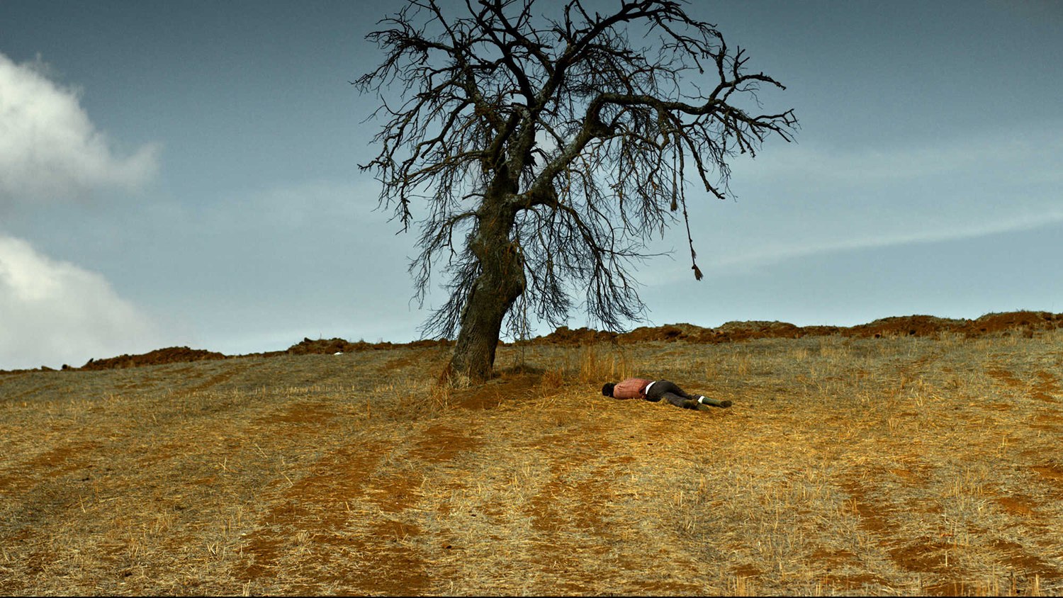 person lying in dry field, The Wild Pear Tree