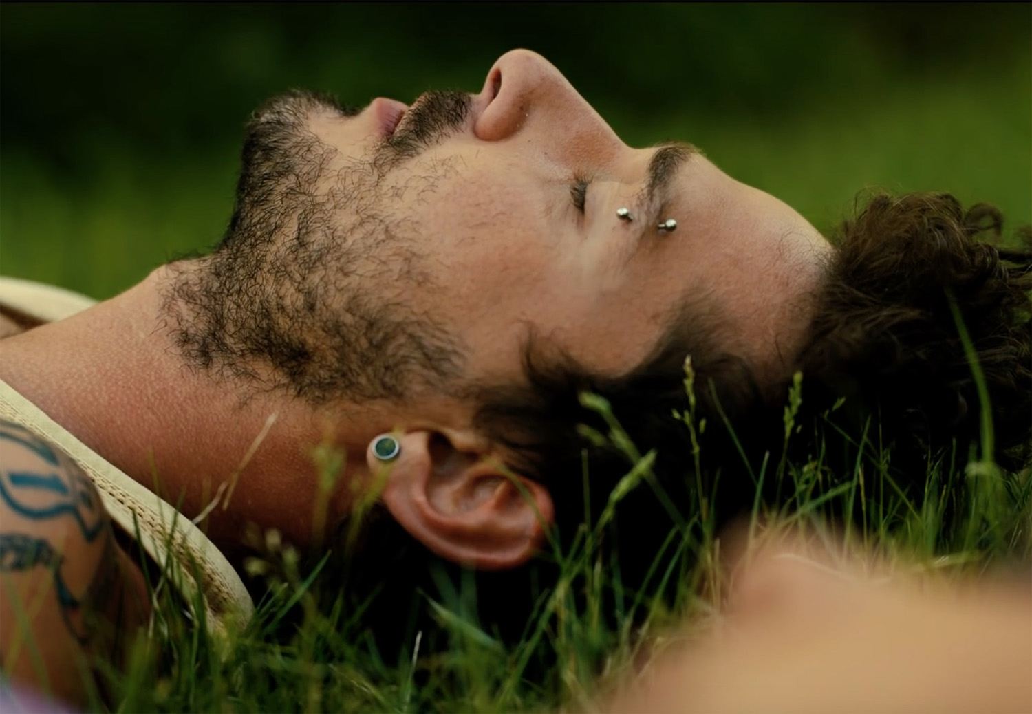 shia labeouf in american honey, on grass