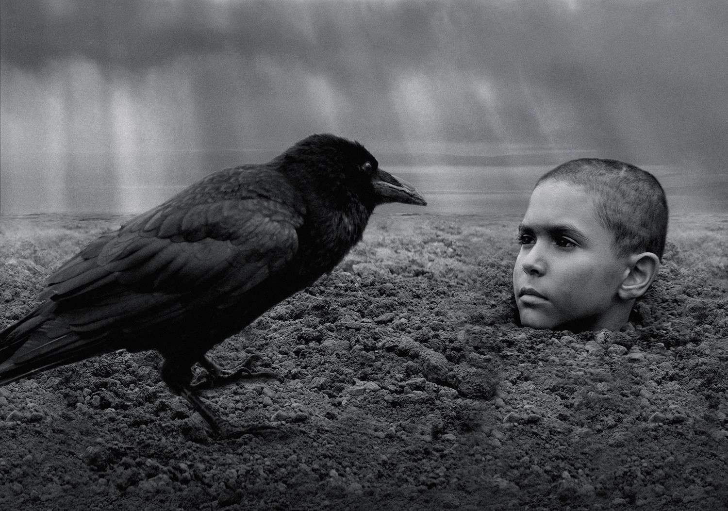 boy and crow, the painted bird movie