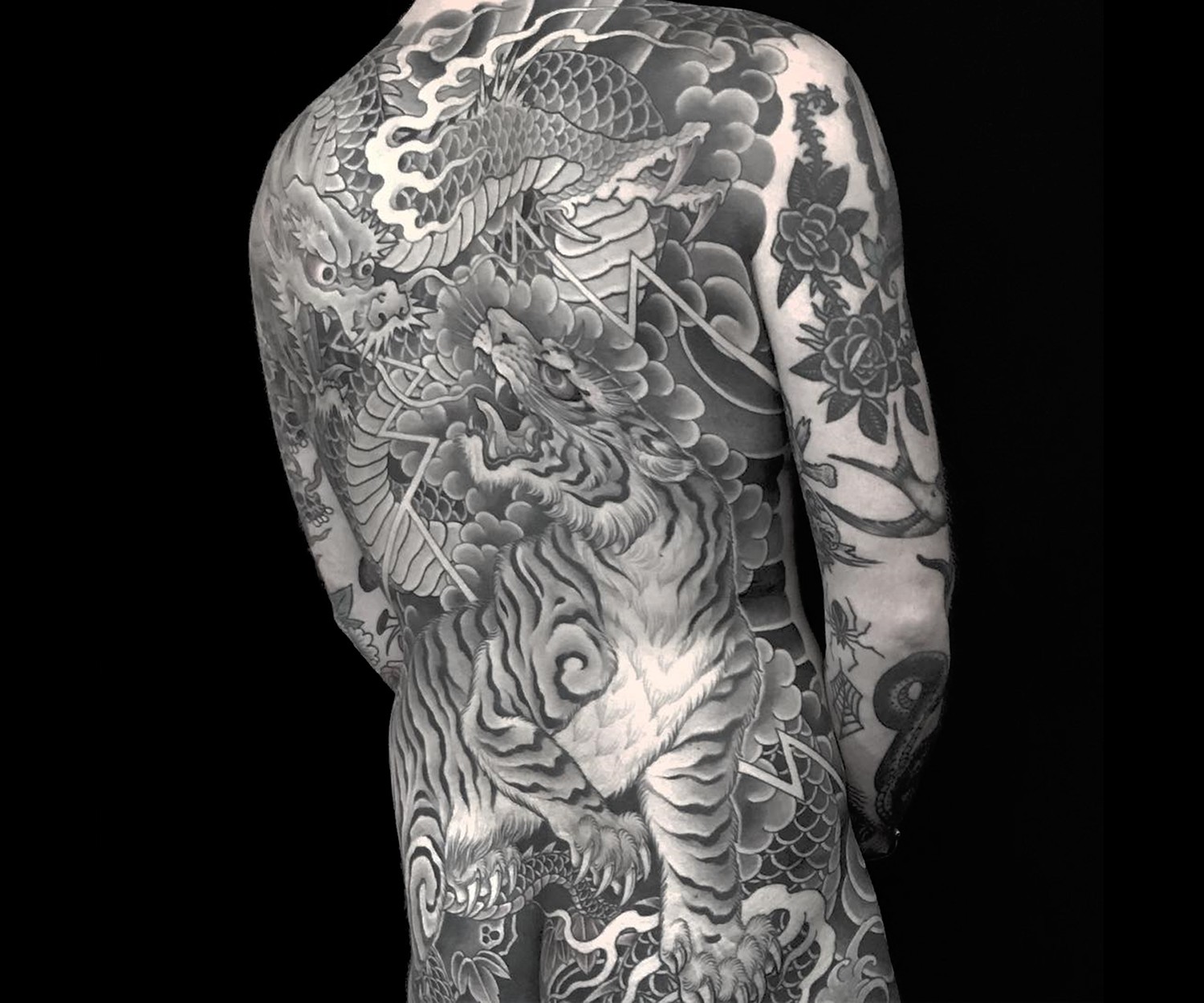 Japanese tattoo on back, tiger, black and grey by chris garver