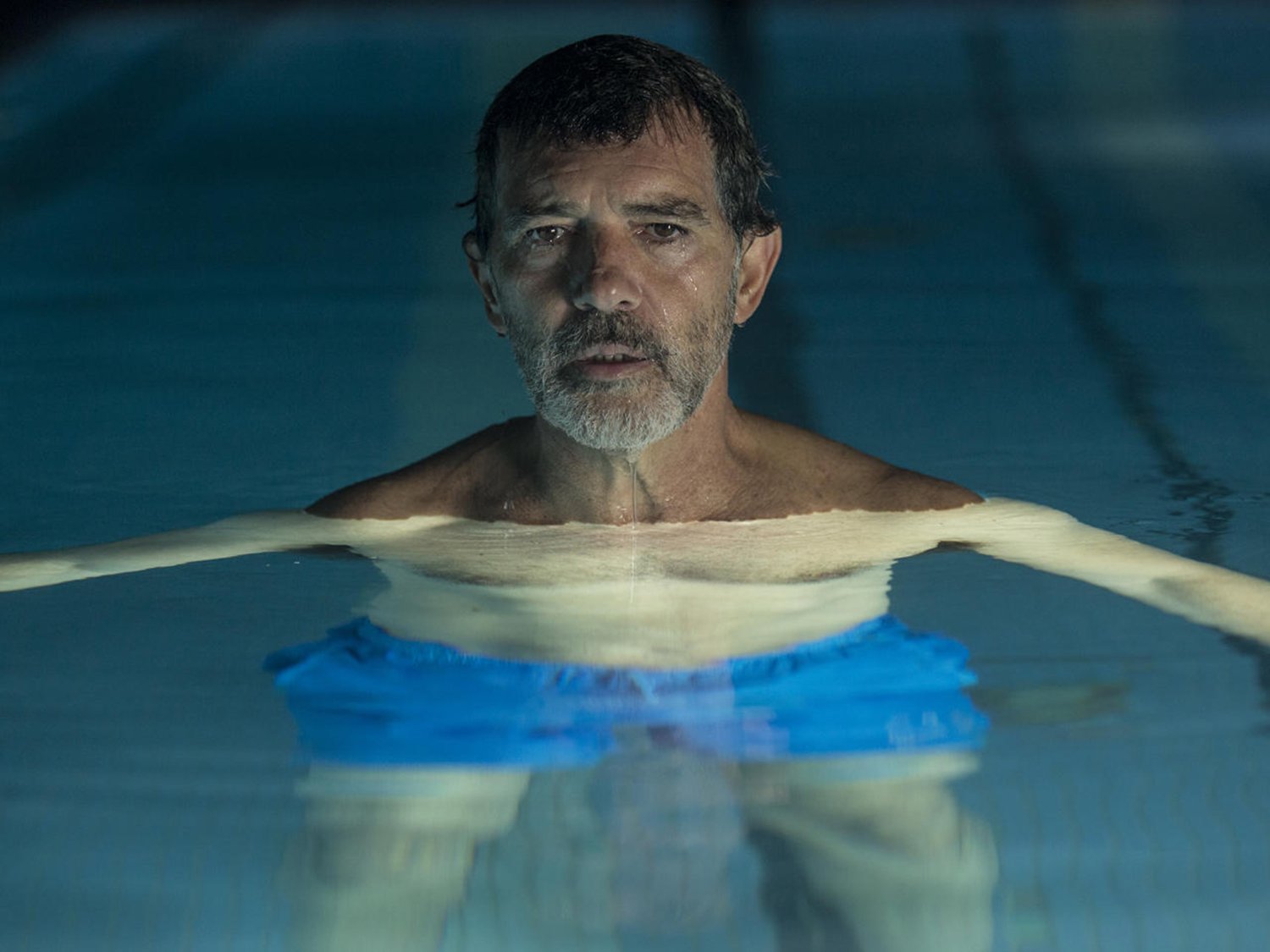 anthony banderras in pool, pain and glory movie, best films of 2019