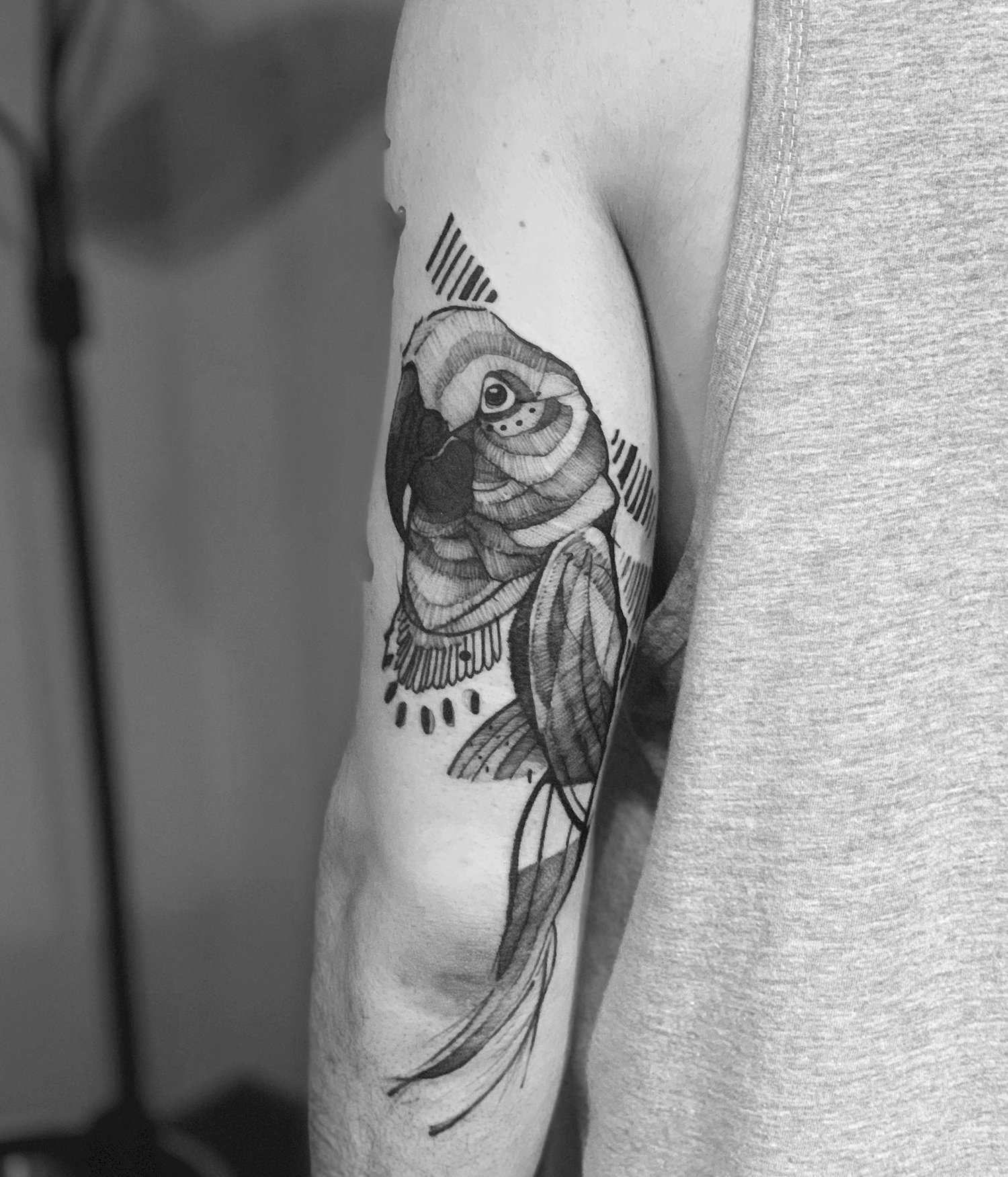 parrot, blackwork tattoo by shiran, tel aviv, israel