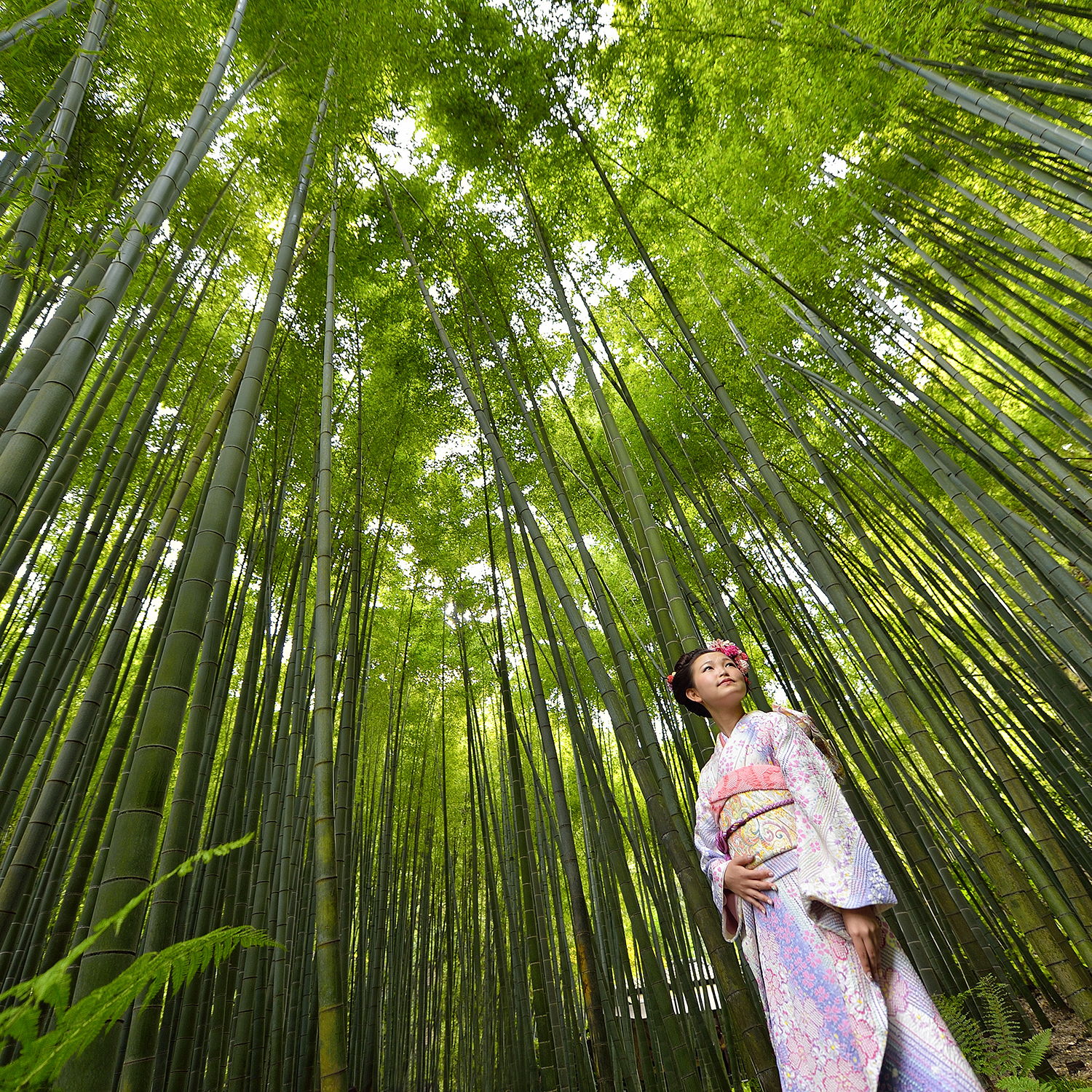 Coming of Age Photography by Ismail Niyaz Mohamed, bamboo forest, japan