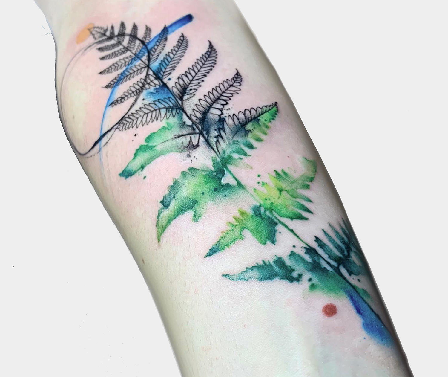 nature leaf watercolor tattoo on arm by fill_tat