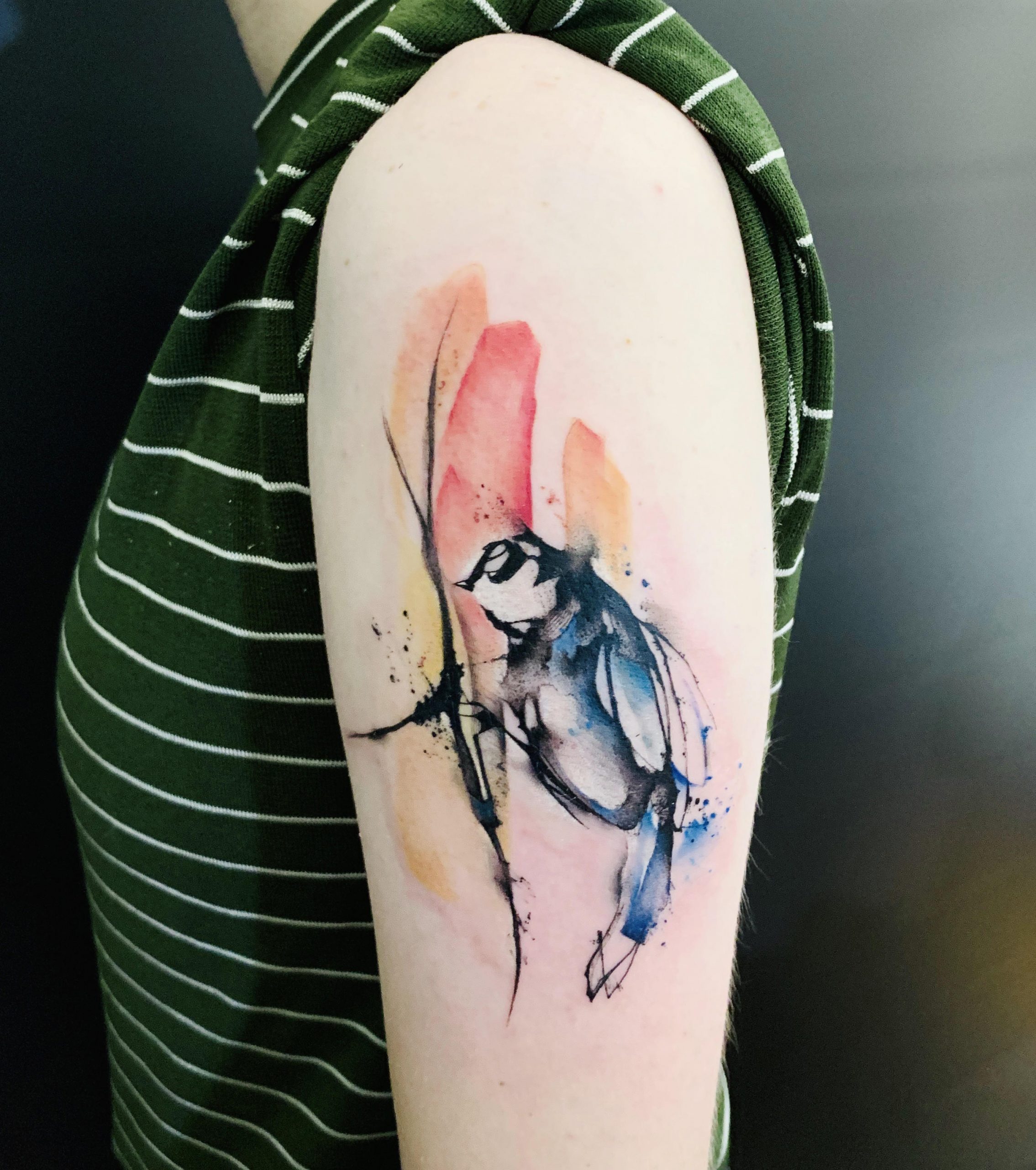 bird color tattoo on arm, by filip fabian, sketch style