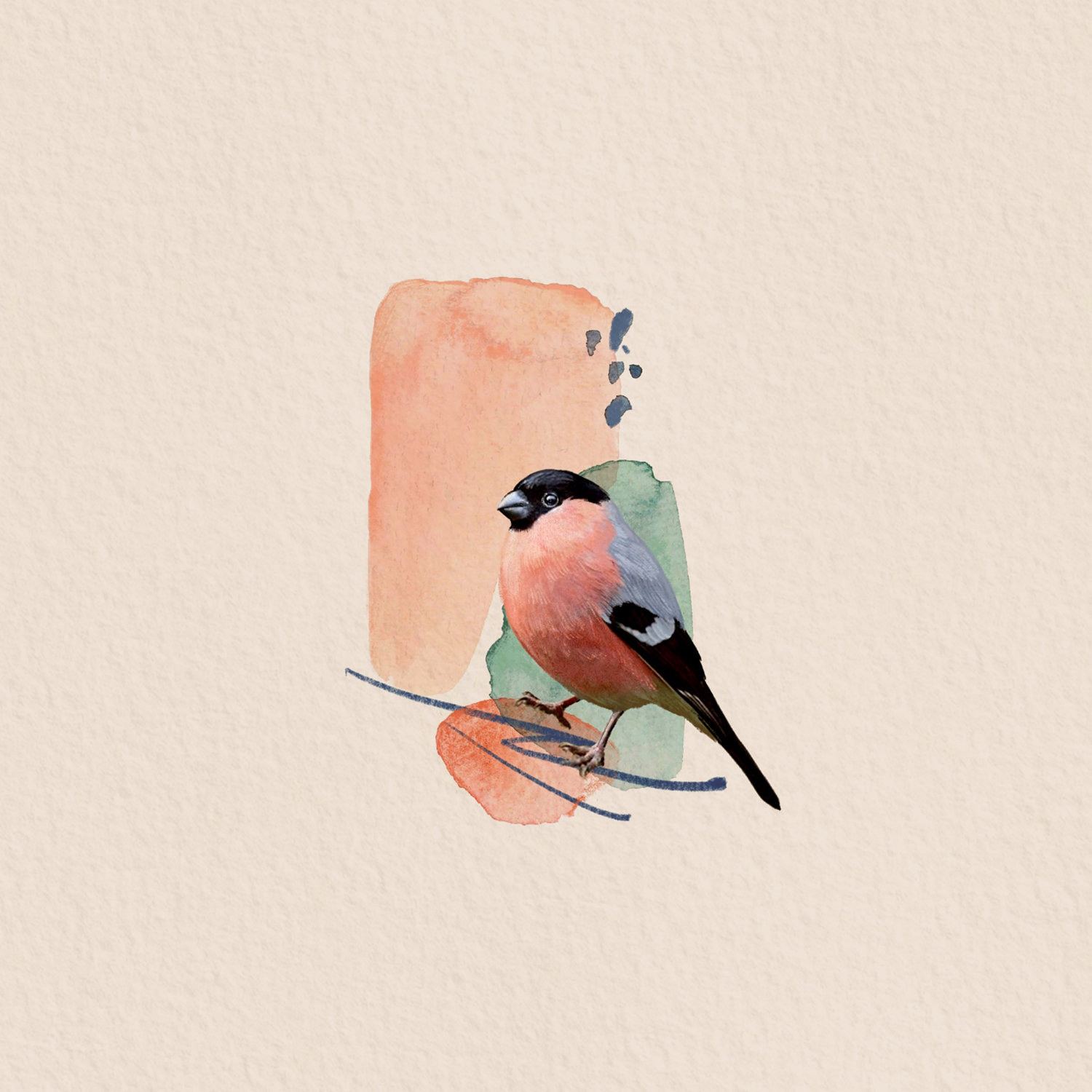 Bullfinch, a concept for the next tattoo.