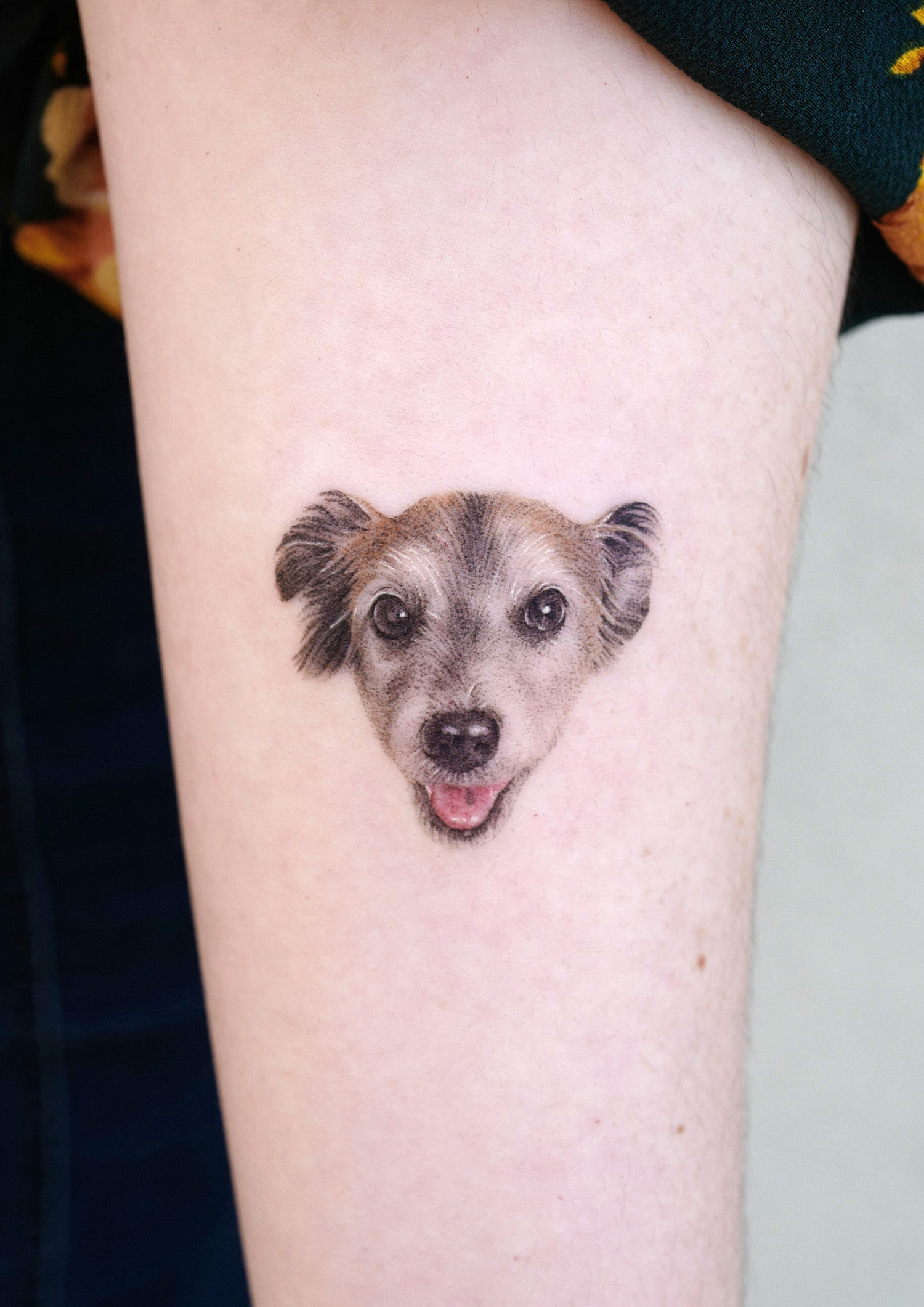 Seoul tattooist kimria, micro pet tattooing