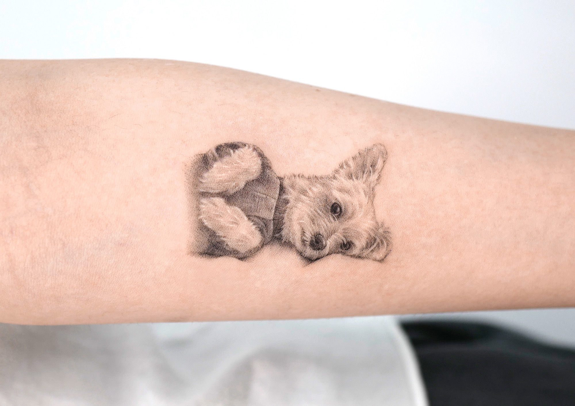 Micro Pet Portrait Tattoos by Sanghyuk Ko  Dog Milk  Dog portrait tattoo  Dog memorial tattoos Animal tattoos