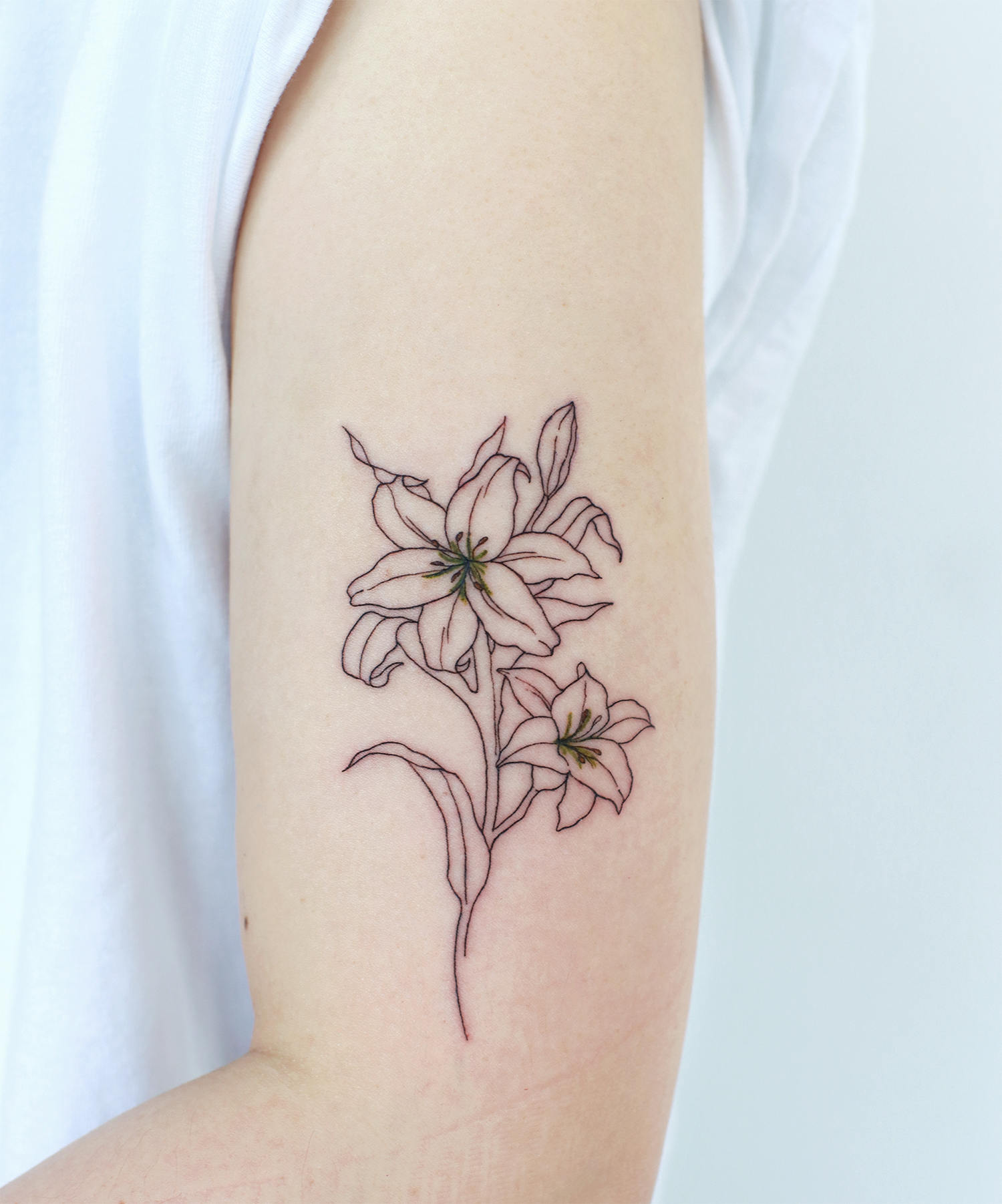 The Line Drawing Tattoos of Joojoo – Scene360