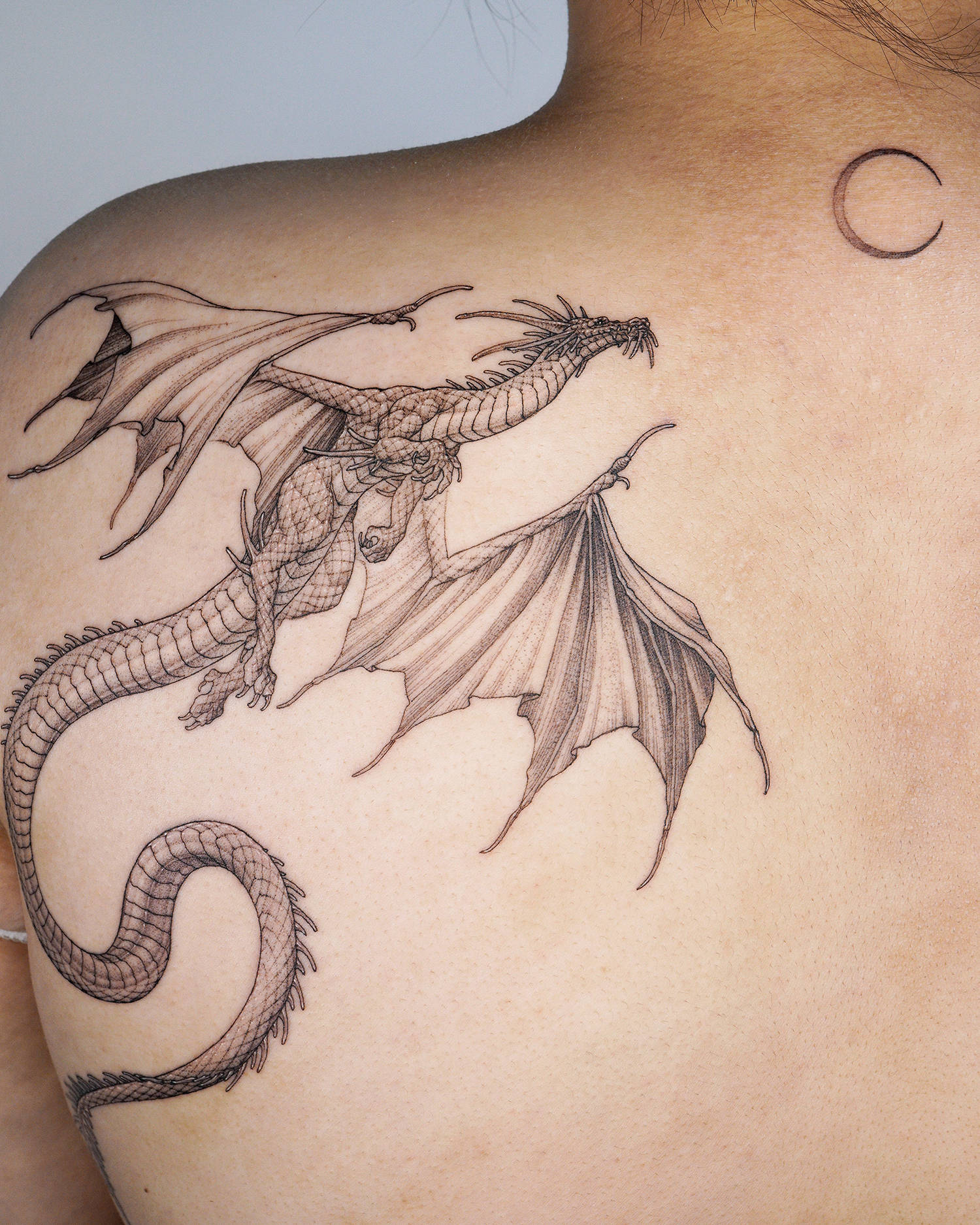 fineline dragon tattooTikTok Search
