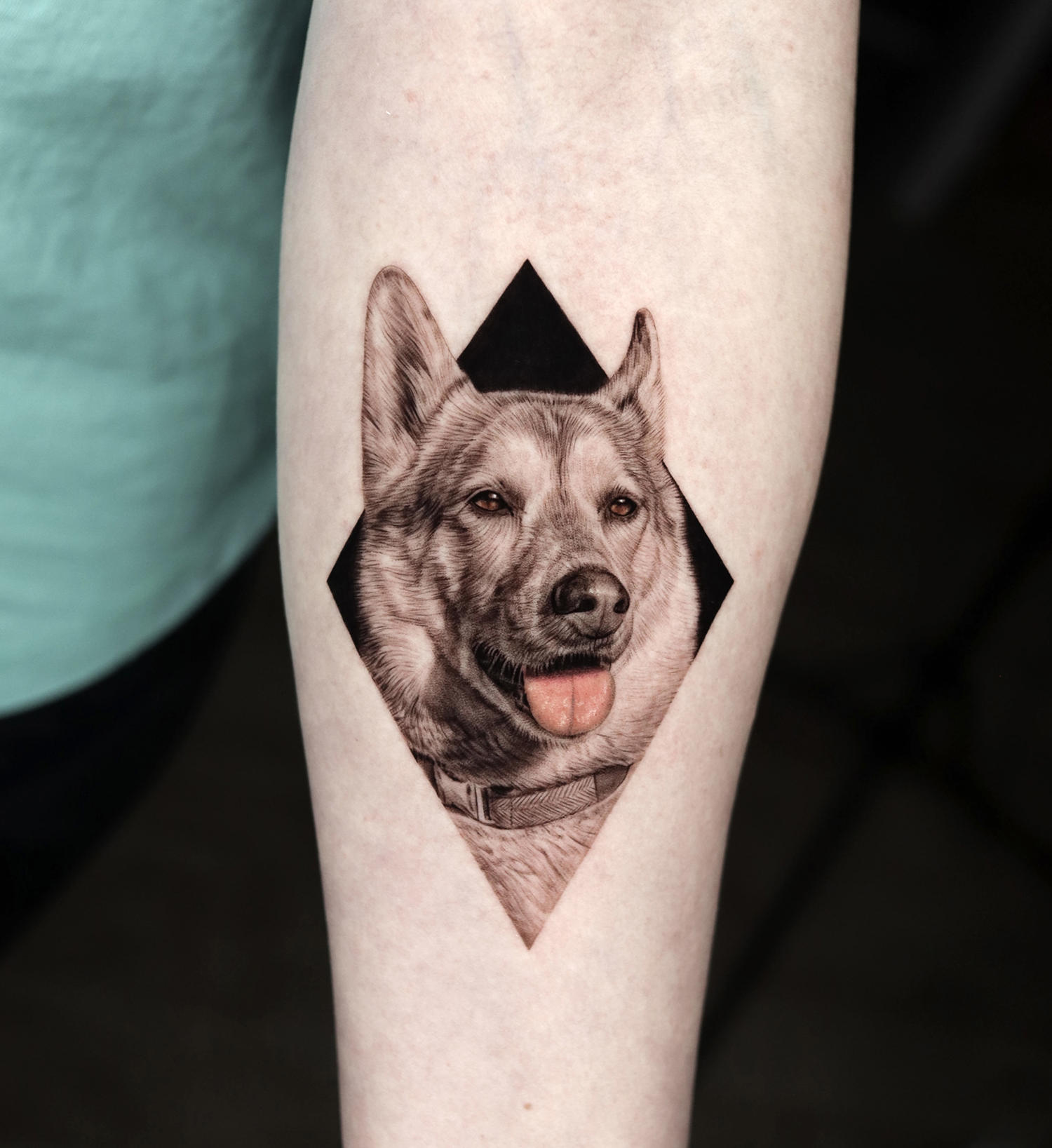 A micro-realism tattoo of a German shepherd that is flawless