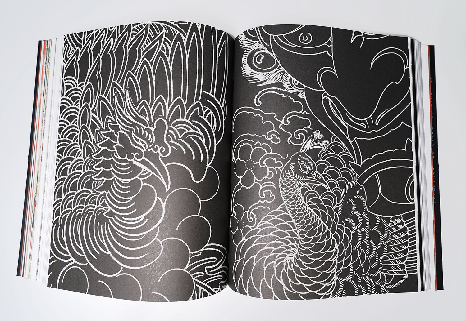 hand drawn line art by shane tan, peacock, white on black background, print book