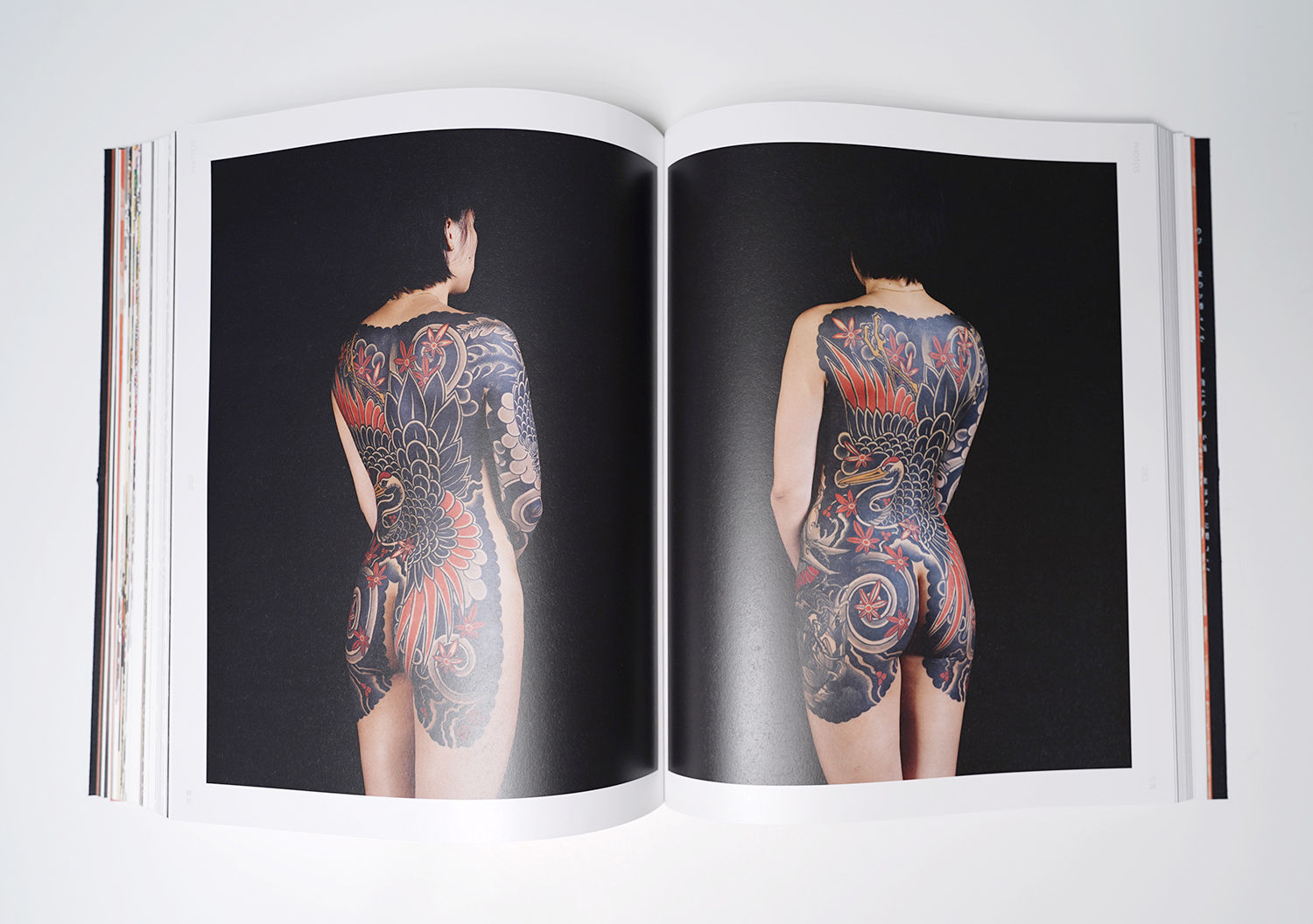 red and back japanese tattoo, kame-no-koh by shane tan