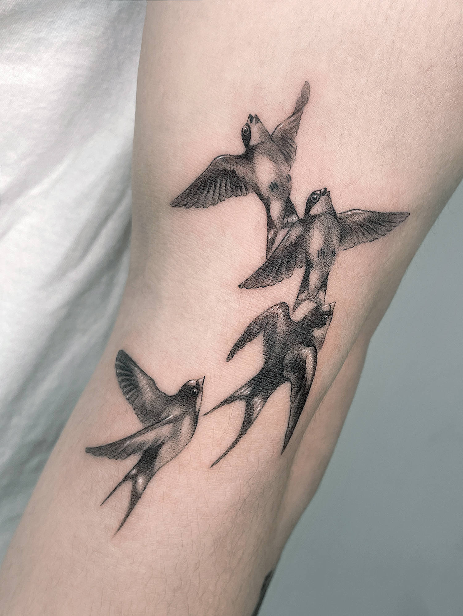 classic swallow tattoo in black and white inks