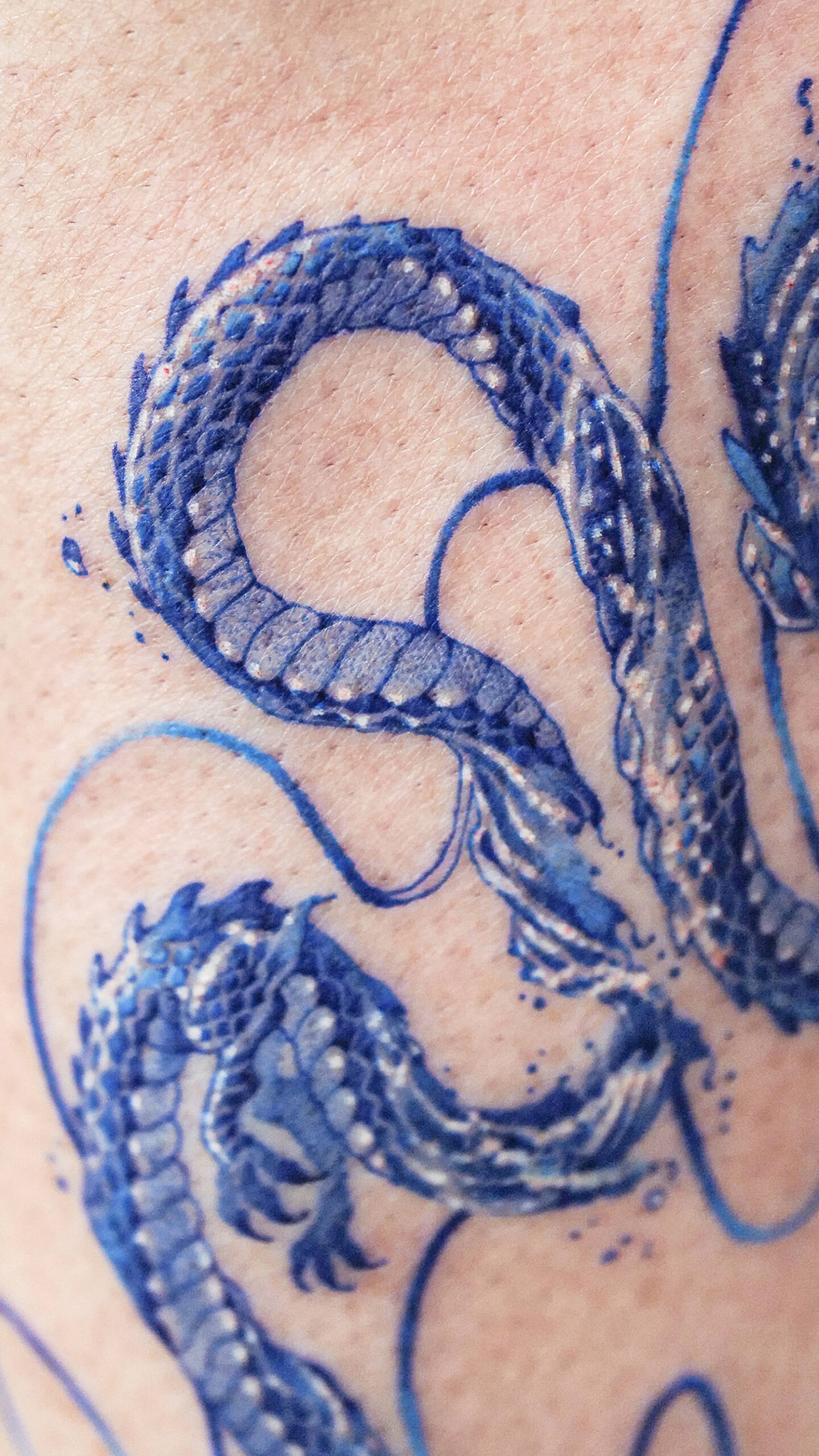 close up of a dragon, water style texture tattoo