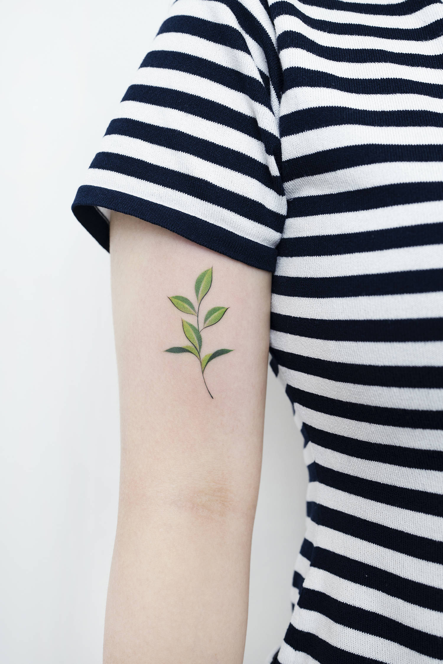 green leaves, tattooed on arm