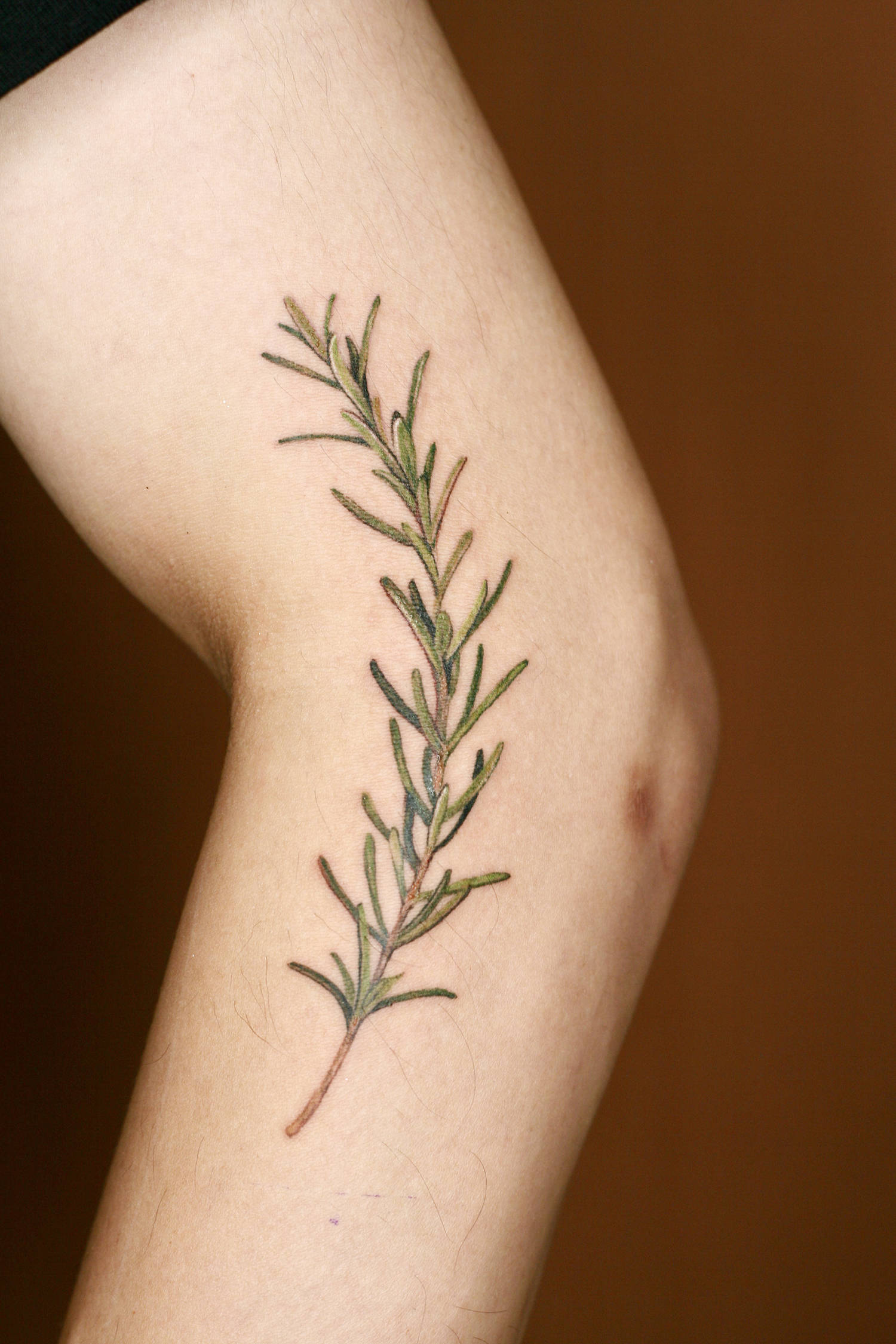 plant on arm, tattoo