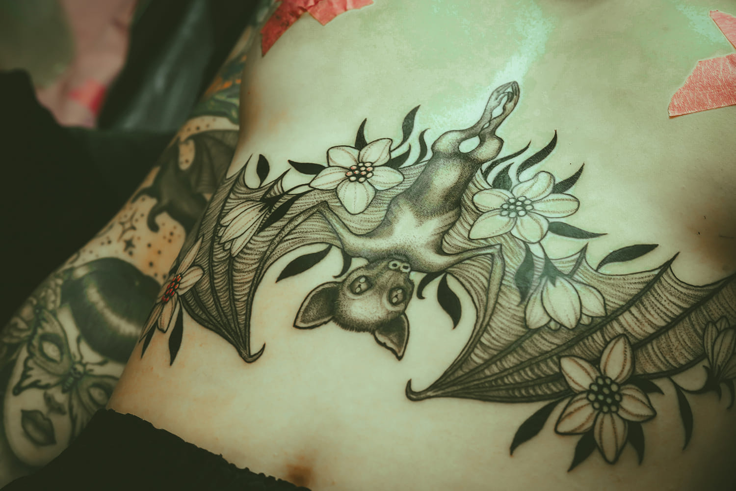 bat tattoo on stomach by miguel angel flores photo copyright Adriana de Barros