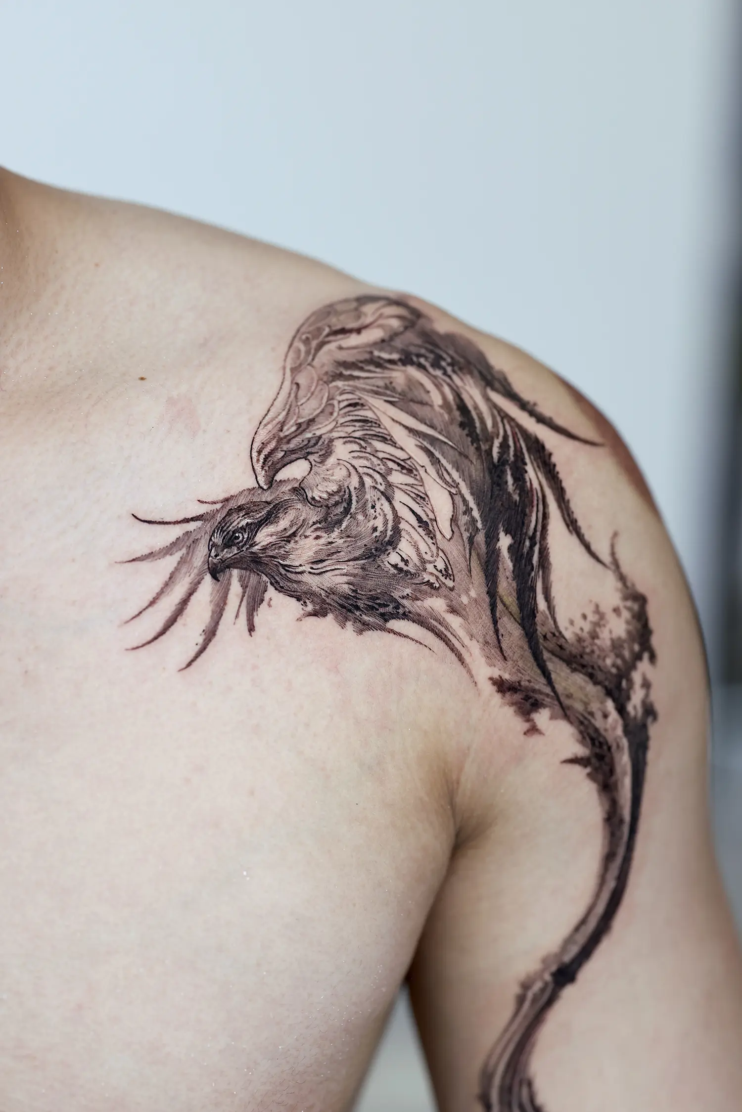 falcon tattoo, somewhat abstract art on shoulder, hatching shading