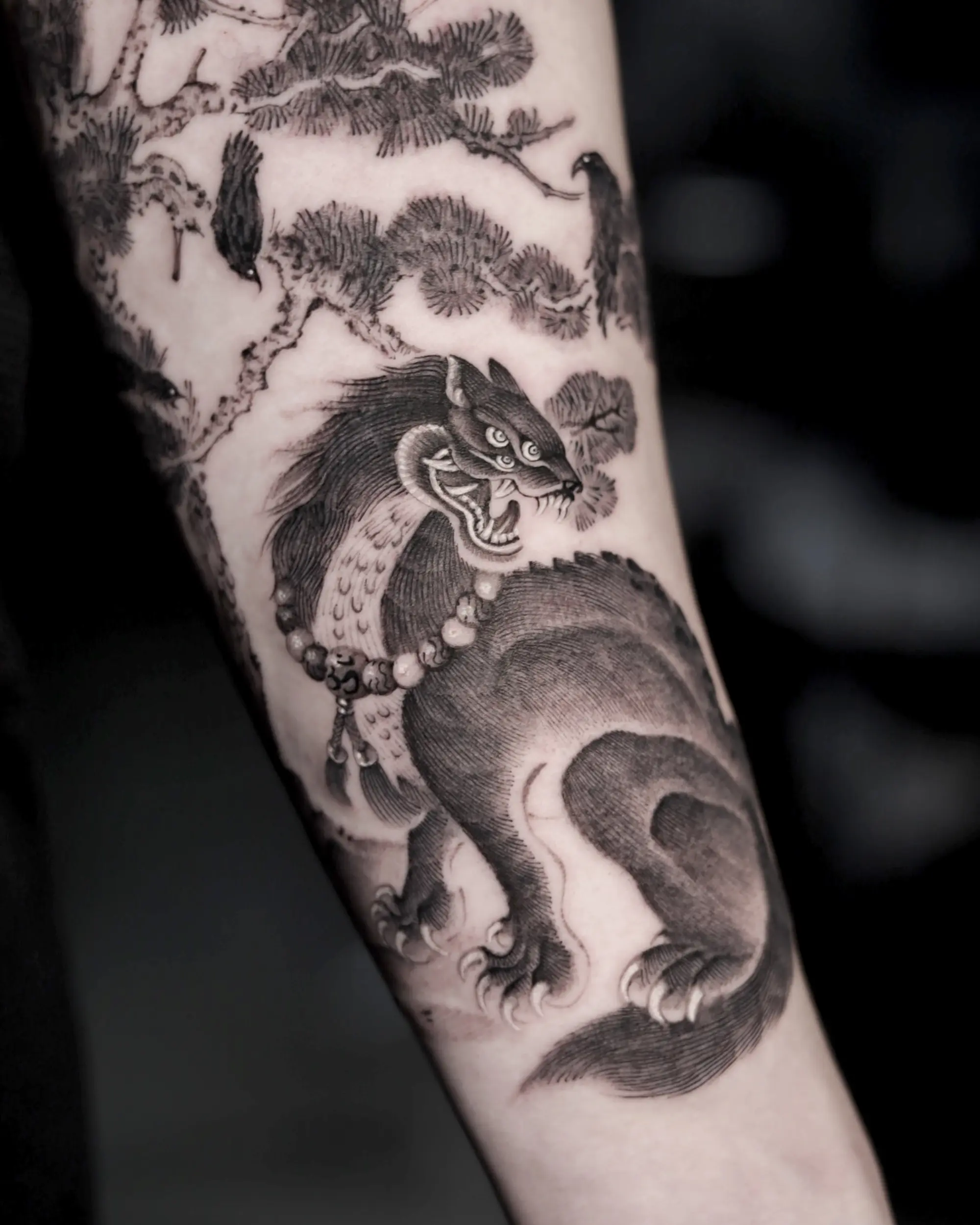 korean tiger in black ink by Greed