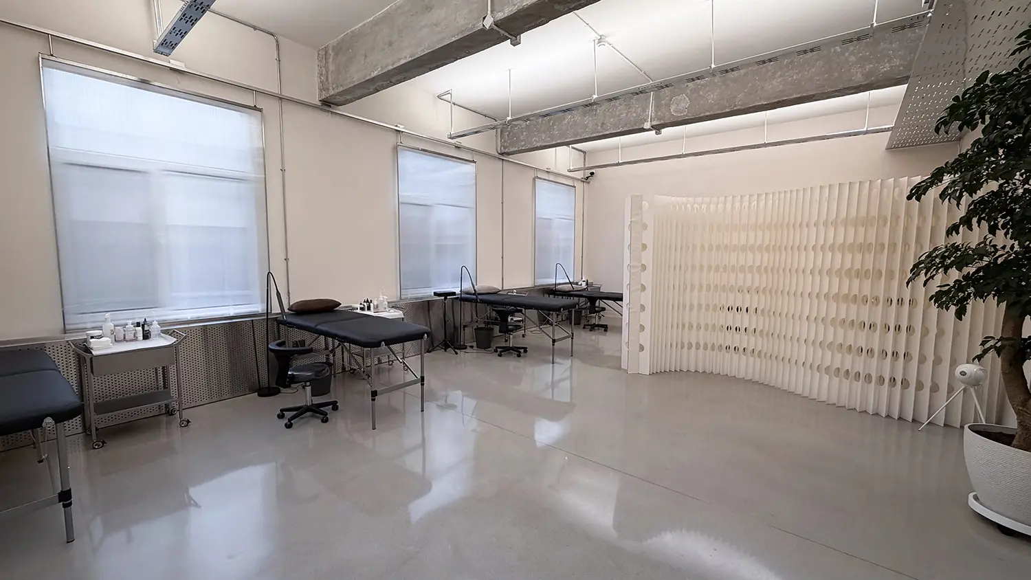 Chen Jie establishment is both organized and clinical