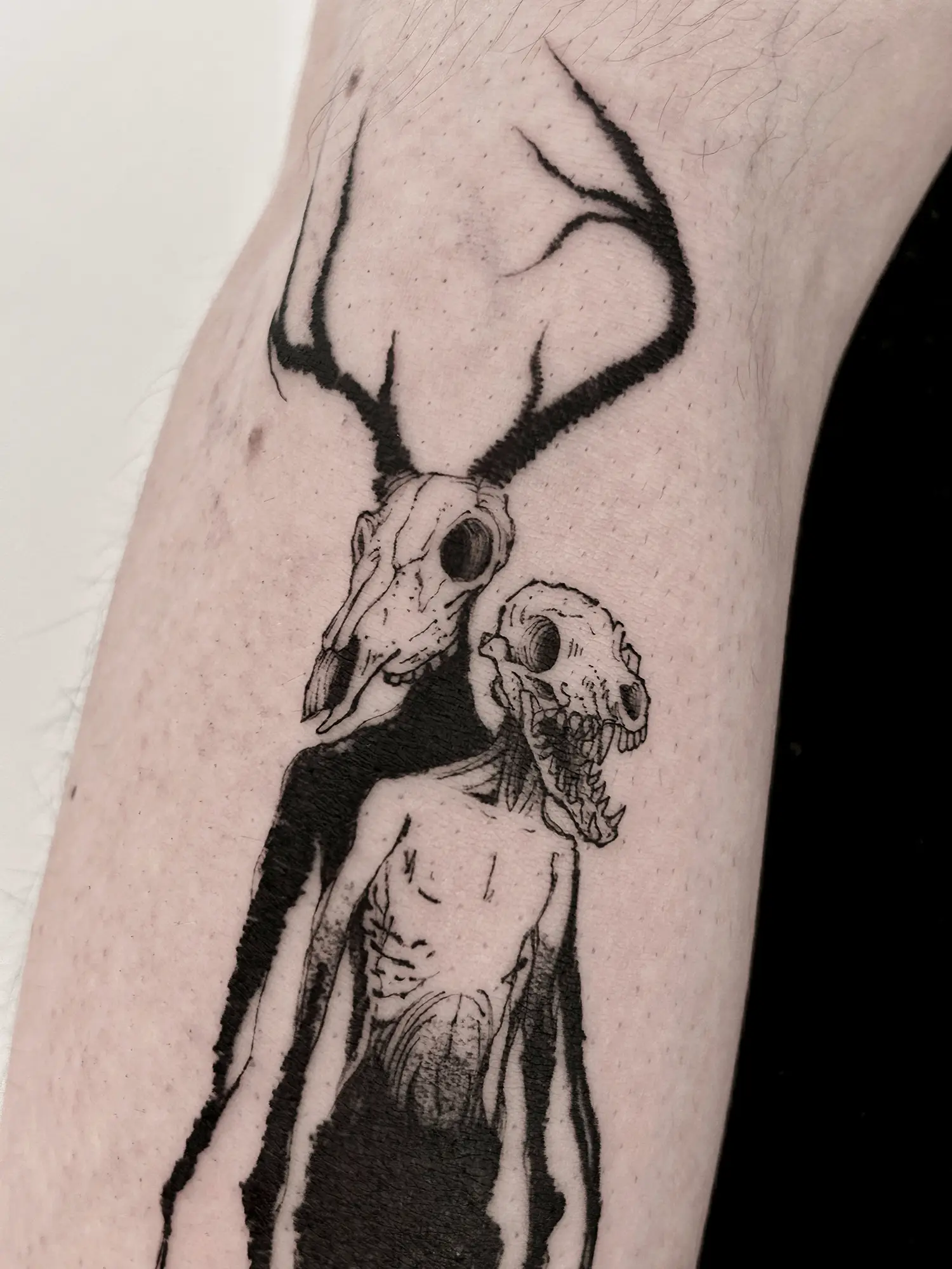 animal skulls on human bodies, a tattoo called duality by avenn