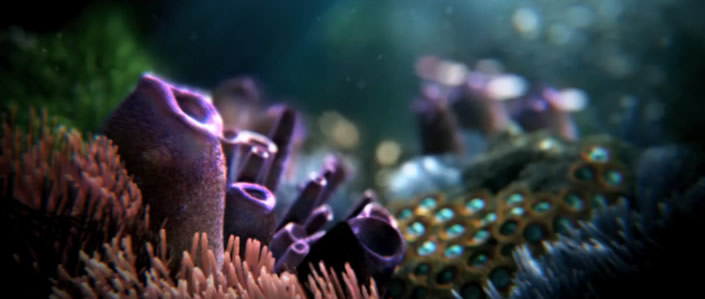 charlex_02 charlex_02