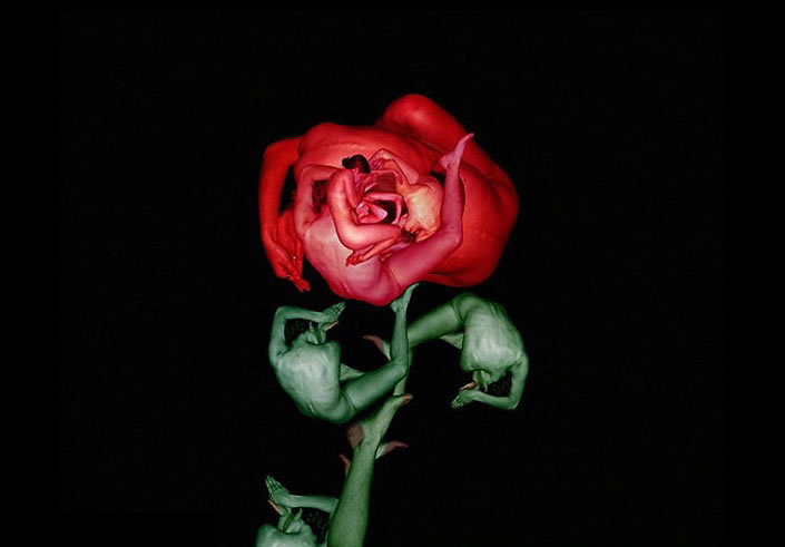 human_flowers_01 human_flowers_02