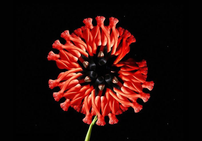 human_flowers_04 human_flowers_04