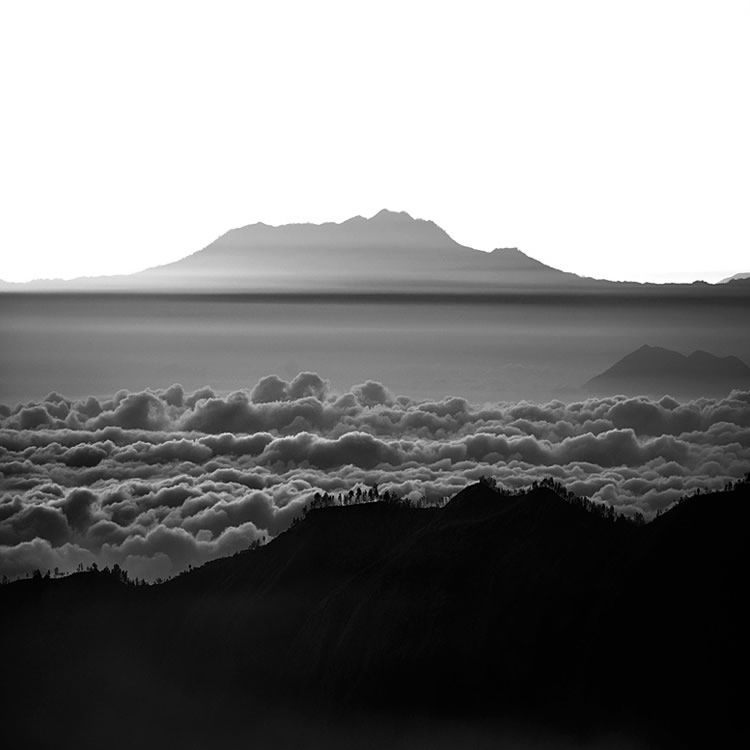 koentjoro_01 koentjoro_01