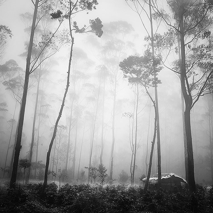 koentjoro_03 koentjoro_03