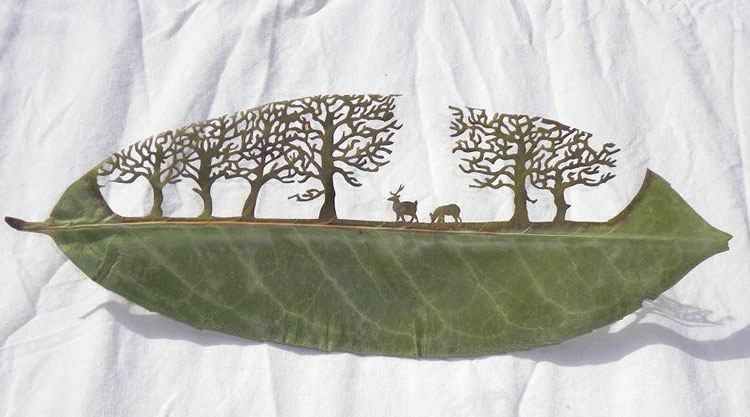 leafartcut_02 leafartcut_02