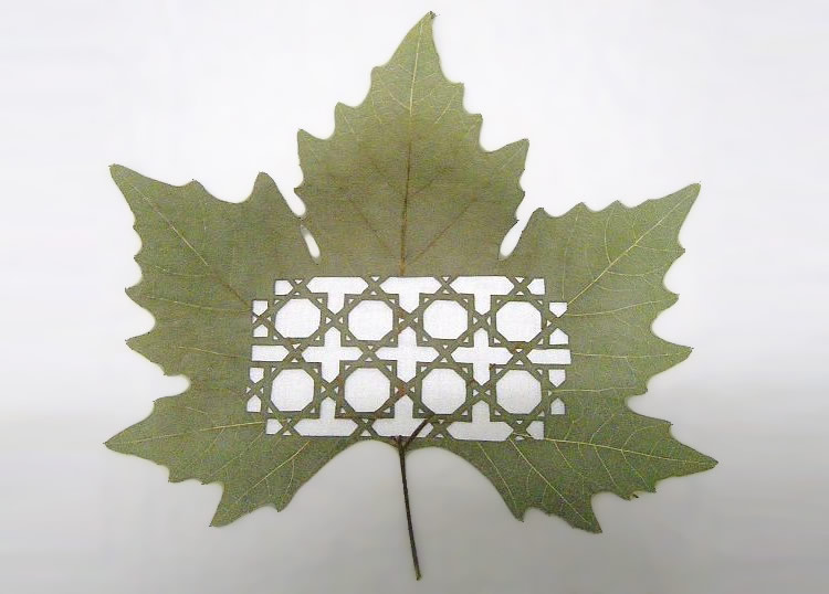 leafartcut_04 leafartcut_04
