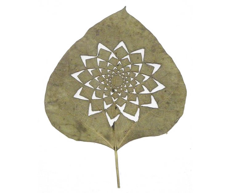 leafartcut_05 leafartcut_05