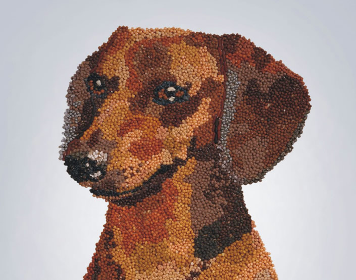 smstore_dog5 smstore_dog5